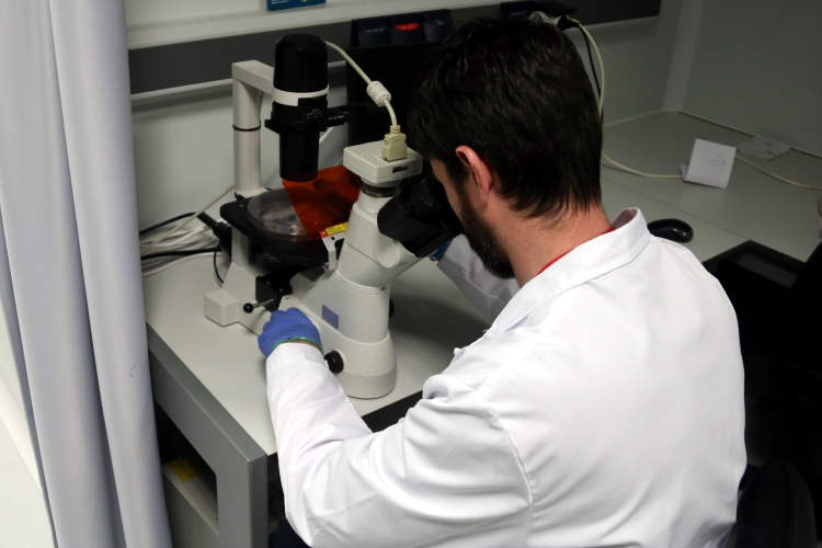 Researcher using a microscope on April 25, 2022 (by Pol Solà)